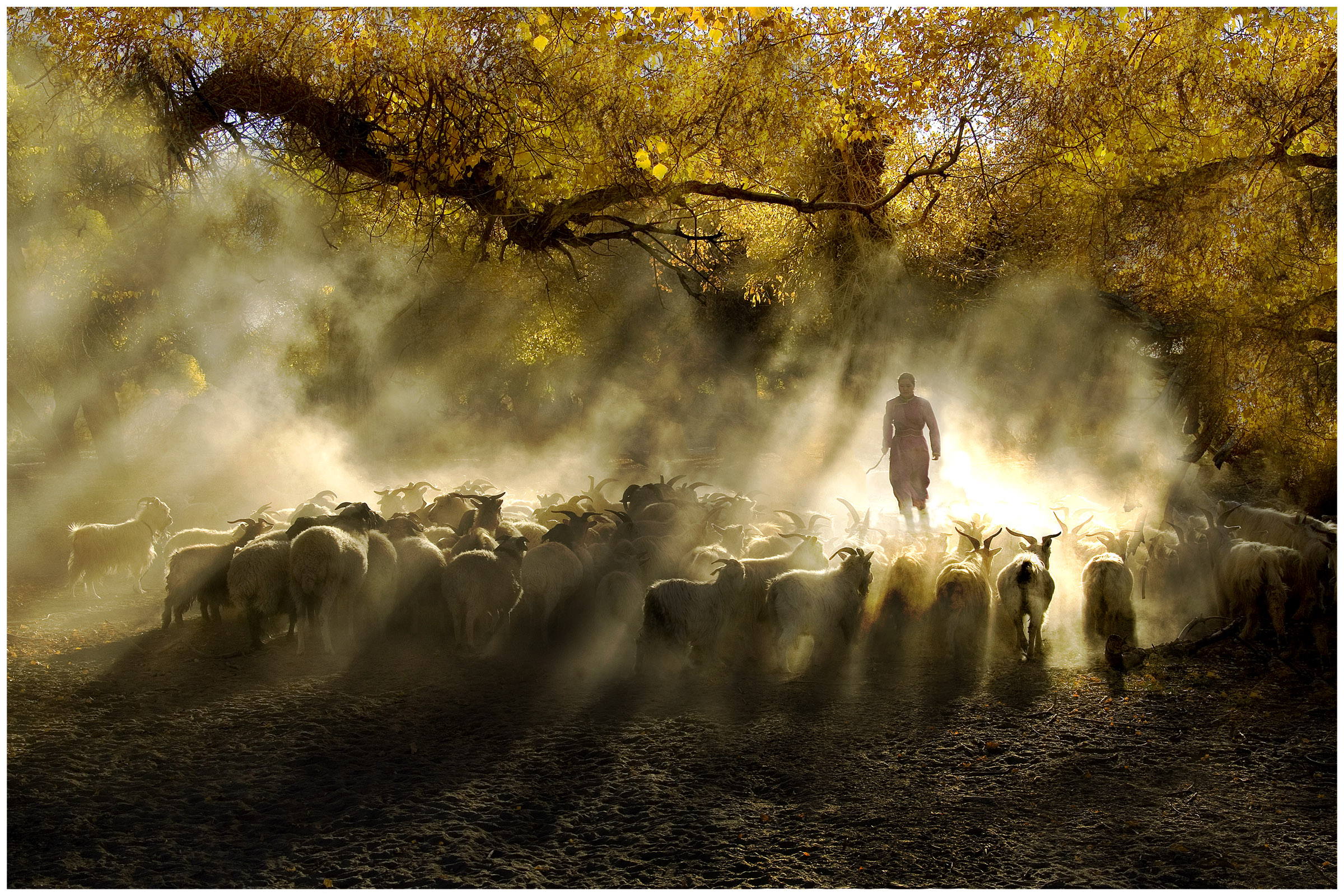 Рингтон пастух на телефон. Одинокий пастух. Красивый пастух. Одинокий пастух картина. Одинокий пастух картинки.