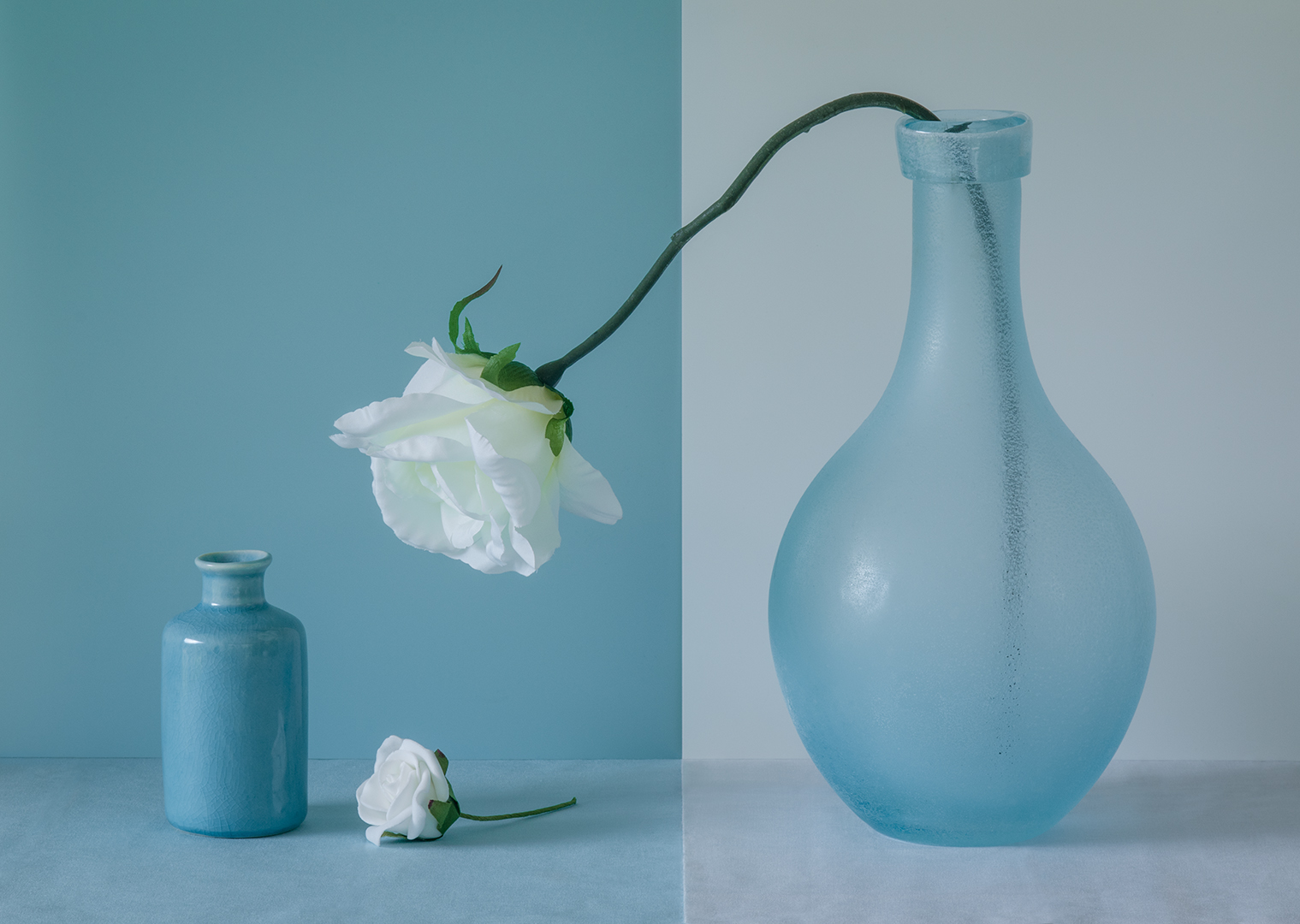 Постер ваза. Постер ваза линией. Vase Concept. Interlife ваза.