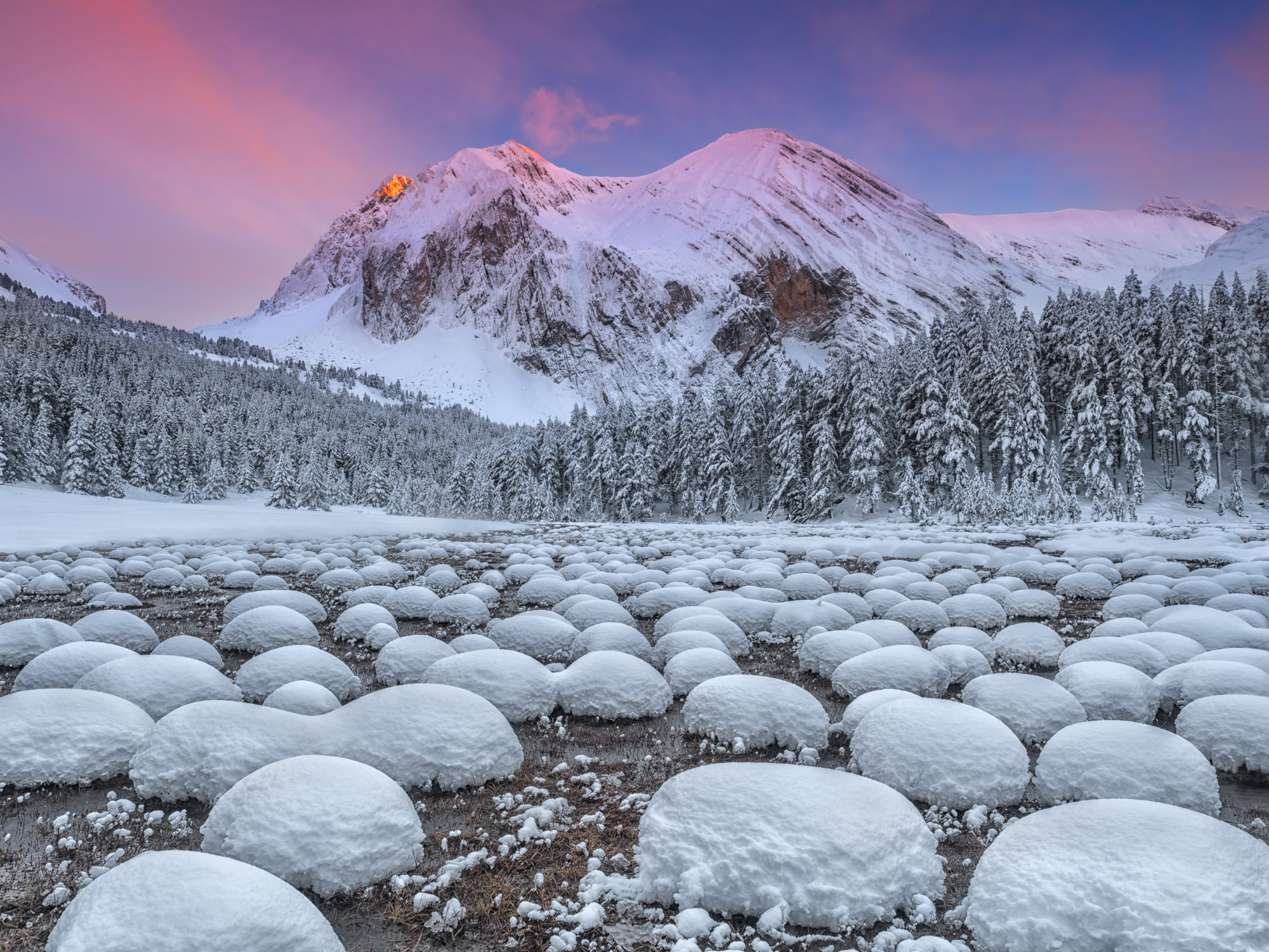 Javier CAMACHO GIMENO - ESPAÑA "The winter" 